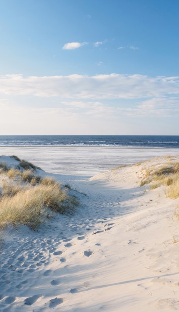 Partez à la découverte 
de la magnifique région de Zélande