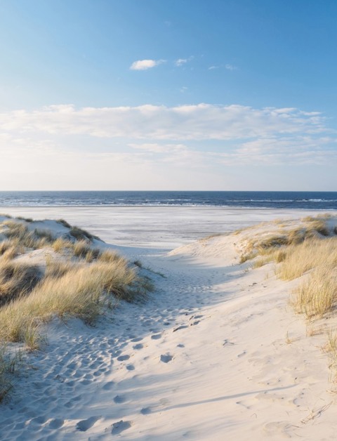 Beleef een onvergetelijke vakantie aan de Zeeuwse kust