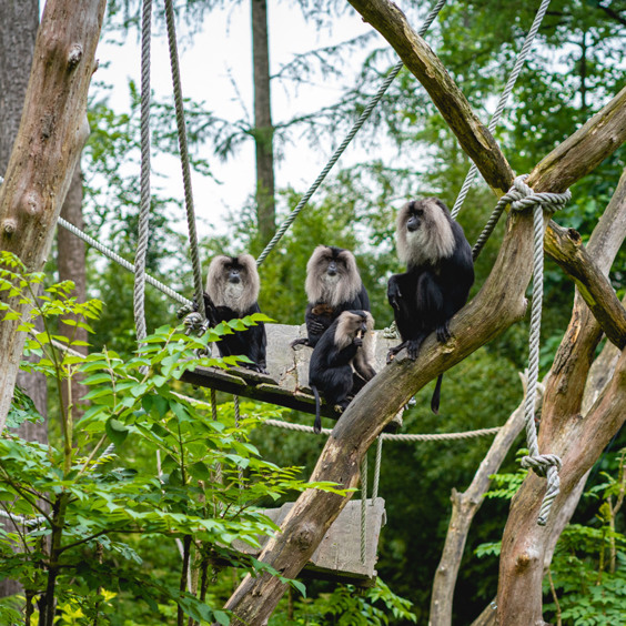 Het Kröller-Müller Museum