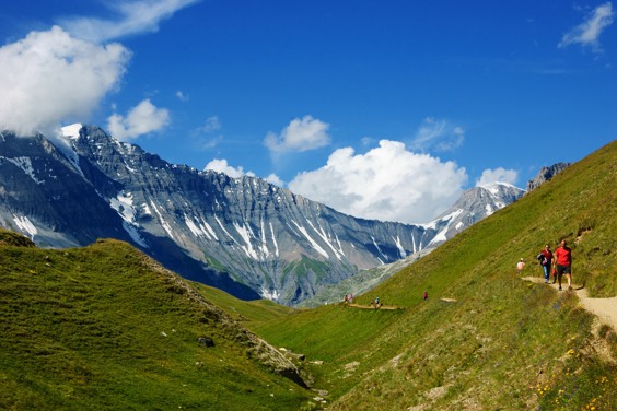 Disfruta de un relajante paseo por la hermosa Chamonix