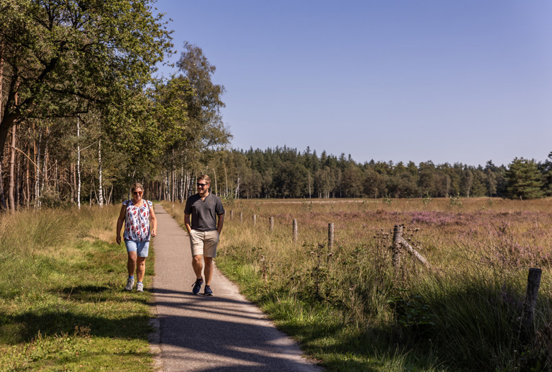 Summio_Parc_Duc_De_Brabant_Omgeving_Hilvarenbeek_Wandelen_004.jpg