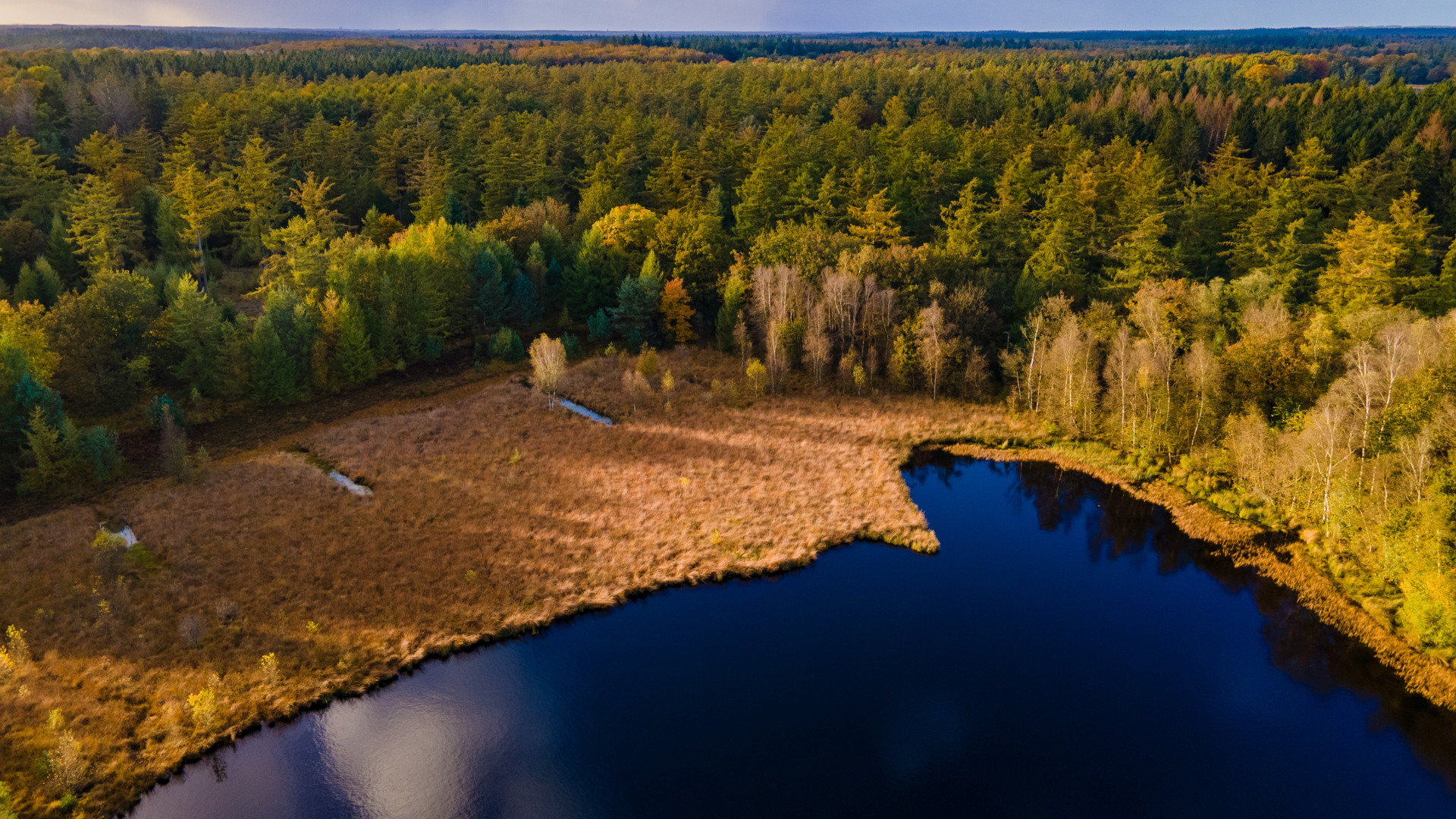 Verken het Nationaal Park Drentsche Aa