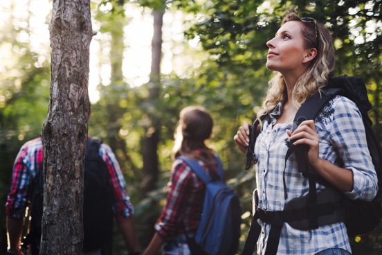 Recorra una de las hermosas rutas de senderismo del Eifel alemán durante sus vacaciones activas