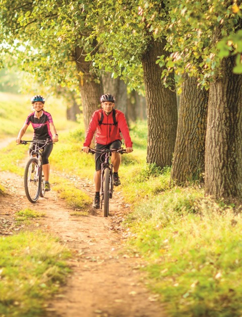 Verken het prachtige Limburgse heuvellandschap op de fiets