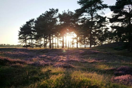 Wat is UNESCO Geopark De Hondsrug?