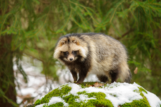 Bezoek Zorgdierentuin Zie-ZOO