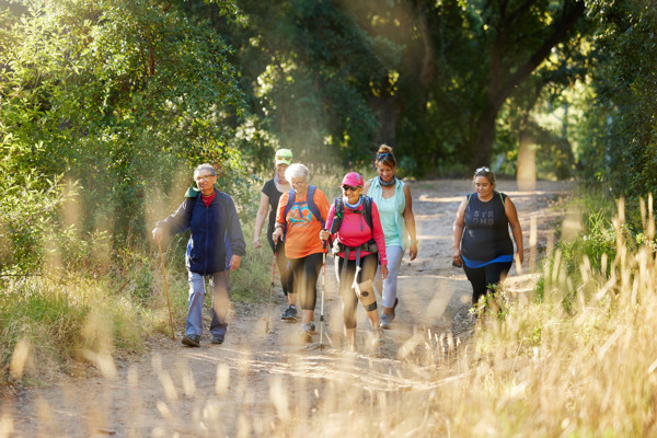 Schöne Wanderungen durch die Natur