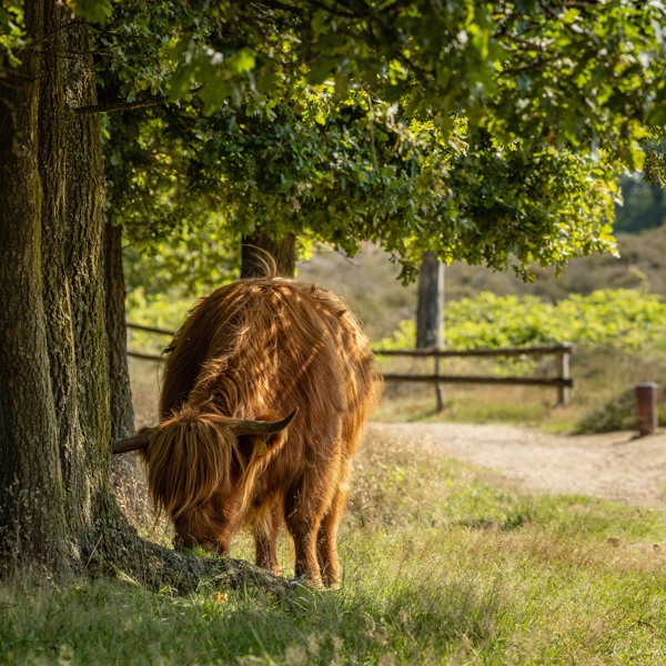 Bekijk onze tips in de omgeving