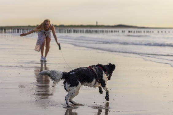 Erleben Sie den besten Urlaub mit Hund bei Summio Parcs