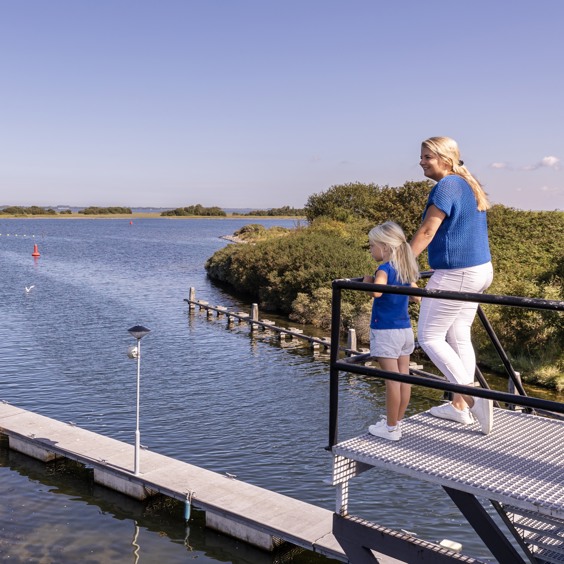 Waarom Brouwershaven op de fiets verkennen?