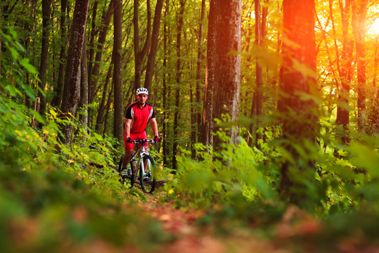 Fietsen in Zuidwest-Drenthe