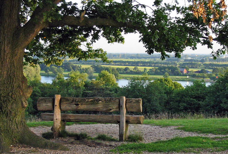 Summio_Bungalowpark_De_Riethorst_Omgeving_Bos_001.jpg