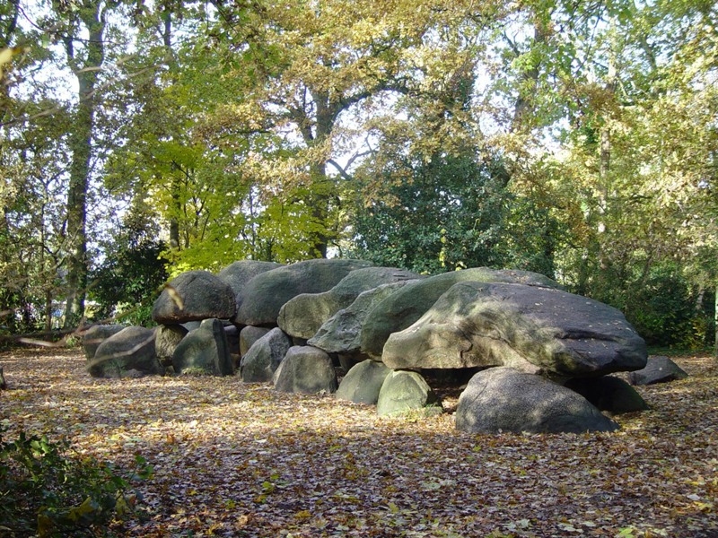 Verken de prachtige omgeving