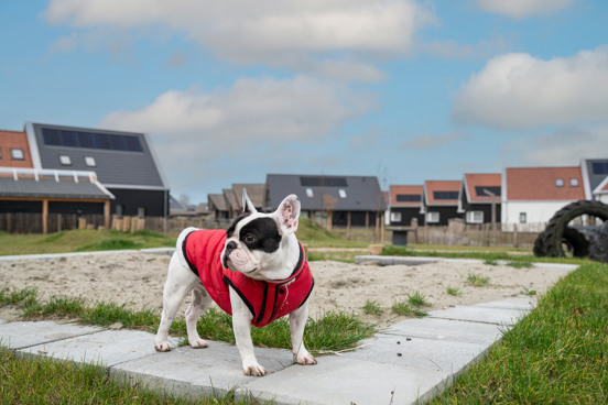 Een onbezorgde luxe vakantie met hond