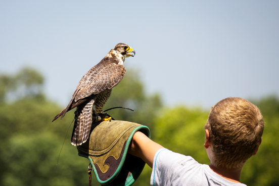 Ausflugstipp 5: Das Wildgehege Hellenthal