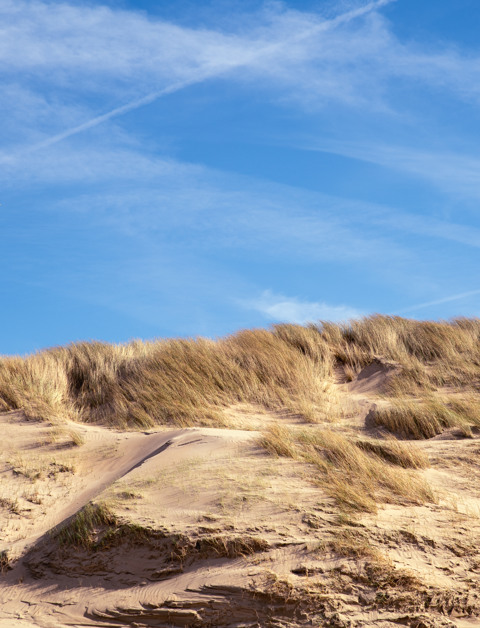 Rust, ruimte en natuur aan de Noordzeekust