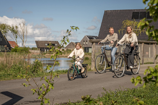 Welke fietsen kun je huren in Nieuwvliet-Bad?
