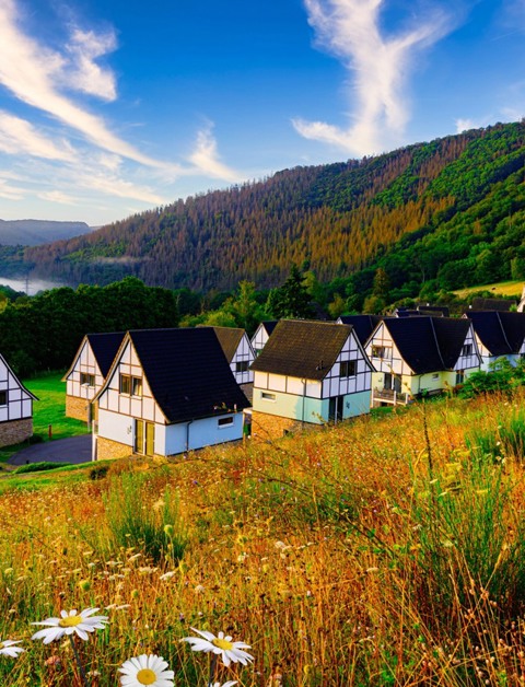 Dormio Resort Eifeler Tor