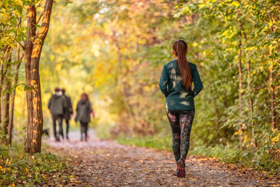 Maar liefst 14 kilometer aan onaangetaste natuur: De Marke Harpel