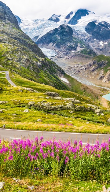 Liefhebber van de natuur? Ontdek de omgeving van Flaine!