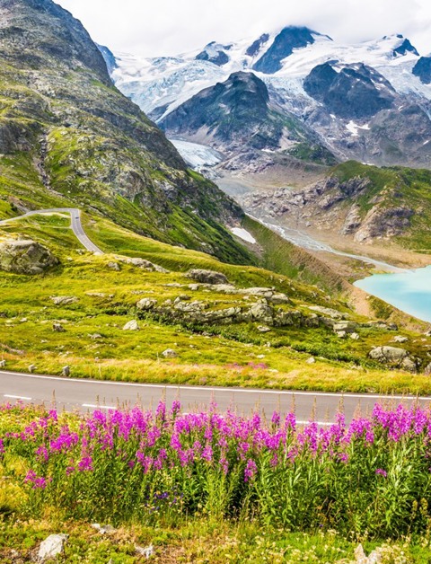 Liefhebber van de natuur? Ontdek de omgeving van Flaine!
