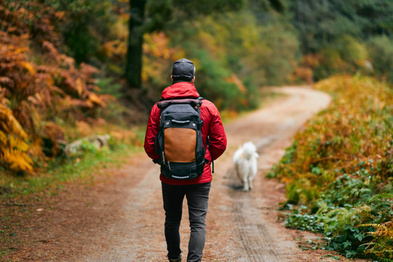 Luxe vakantie met hond op een unieke locatie