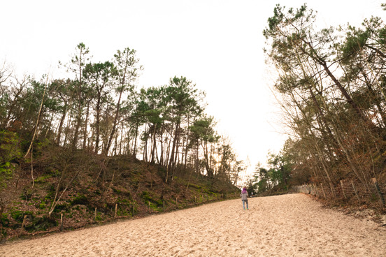 Mooie duinen direct naast het vakantiepark in Schoorl