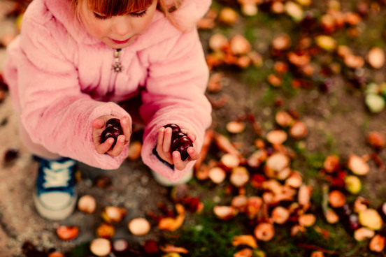 Leuke uitstapjes in de herfstvakantie
