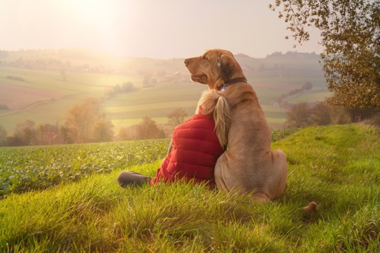 Holiday in the rolling hills of South Limburg