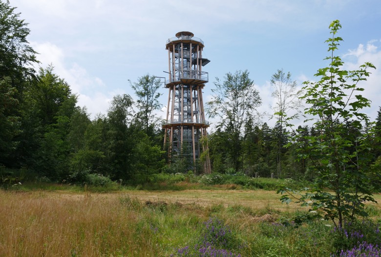Summio_Eifelpark_Kronenburger See_Omgeving_EifelSchleife_Himmelsglück_001.jpg