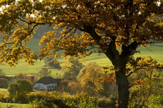 De prachtige omgeving tijdens de herfst van Nederlands Limburg