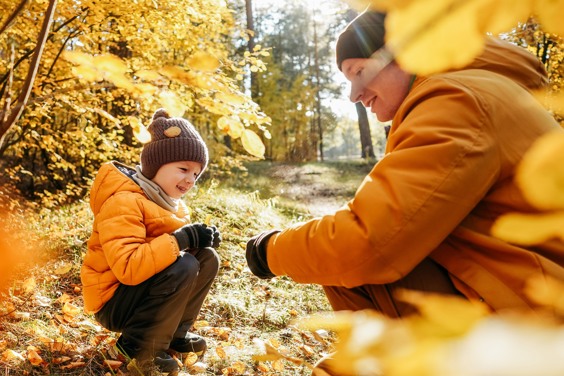 Beleef the Best Autumn Time in Zeeland