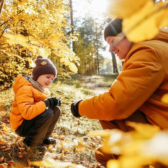 Beleef the Best Autumn Time in Zeeland