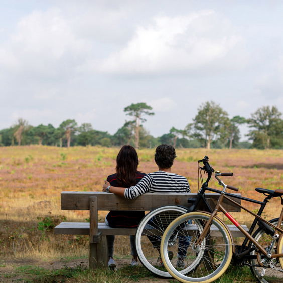 Verken Drenthe per fiets of e-chopper