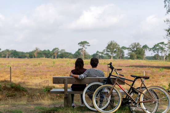 Last-minute vakantie in de natuur