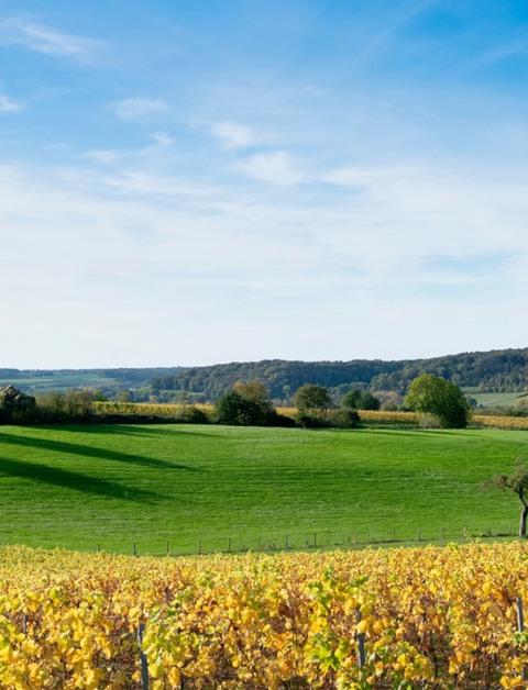 Geniet van een onvergetelijk verblijf in Zuid-Limburg