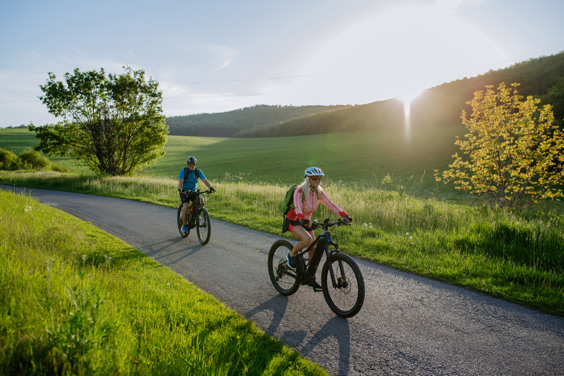 Fietsverhuur op het park