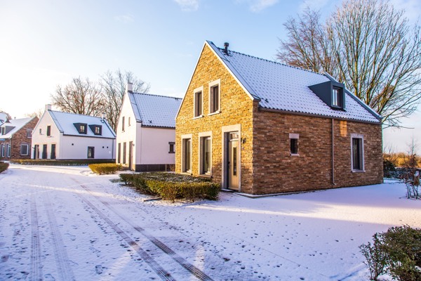 Geniet van Maastricht in januari