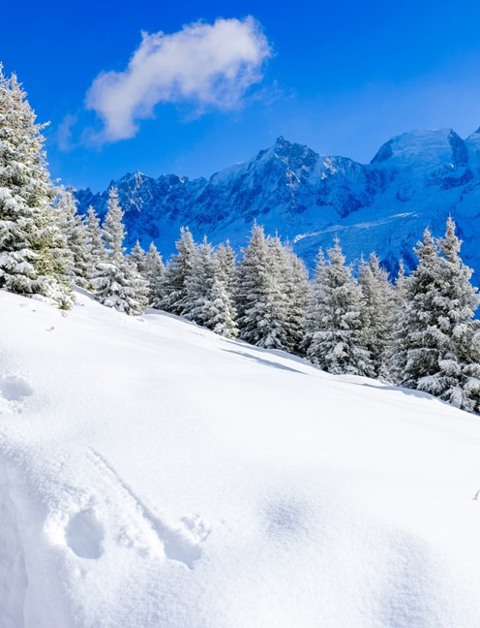 Entdecken Sie die schöne Umgebung von Vallorcine
in den französischen Alpen