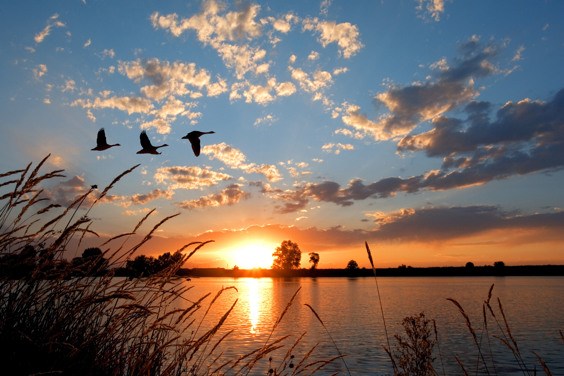 Dormio Water Resort Medemblik