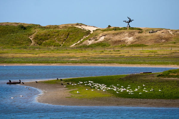 Ontdek onze tips in de omgeving