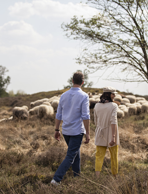 Discover Drenthe’s primeval nature, centuries-old villages and cultural riches