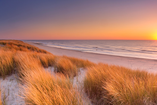 Geniet van het strand, de natuur en de dieren