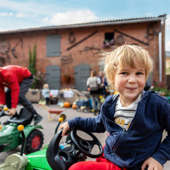 Breng een dagje door op Speelboerderij De Drentse Koe