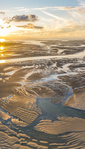 Geniet van de prachtige natuur
tijdens je vakantie in Berck-sur-Mer