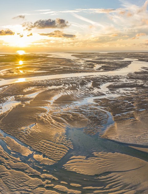 Geniet van de prachtige natuur
tijdens je vakantie in Berck-sur-Mer