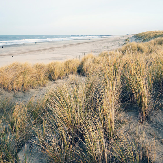 Ga op verkenningstocht door de prachtige natuurgebieden