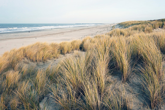 Ga op verkenningstocht door de prachtige natuurgebieden