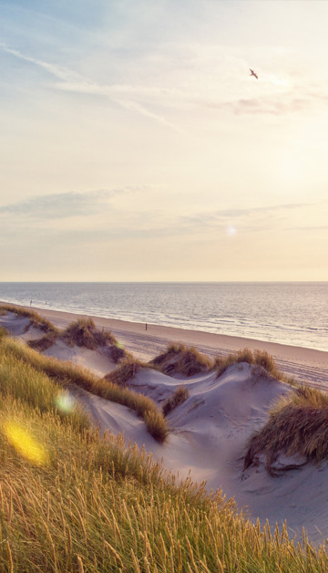 Les meilleures excursions pour rendre inoubliables
vos vacances sur la côte zélandaise