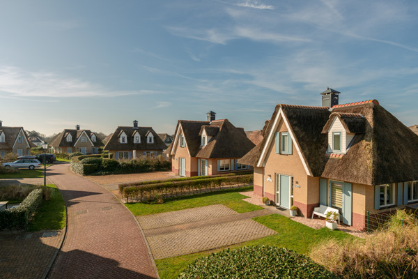 Découvrez nos bons plans dans la région